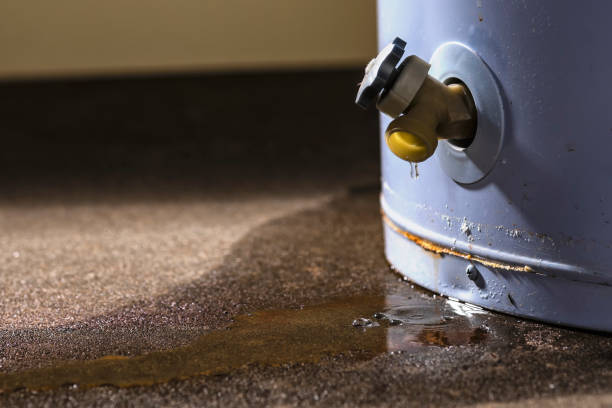Best Flood restoration services  in Redington Shores, FL