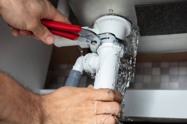 Best Water damage restoration mold remediation  in Redington Shores, FL