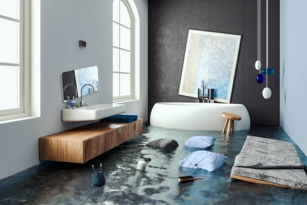 Best Basement water damage restoration  in Redington Shores, FL