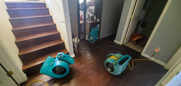 Best Water damage restoration services  in Redington Shores, FL