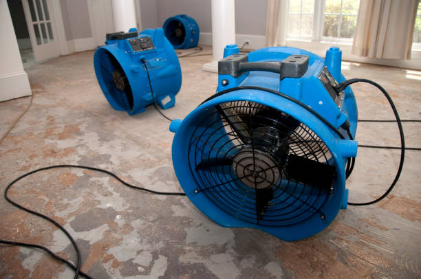 Professional Water damage restoration in Redington Shores, FL