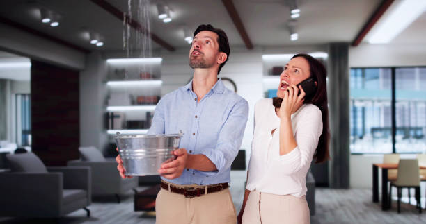 Best Flooded house restoration  in Redington Shores, FL